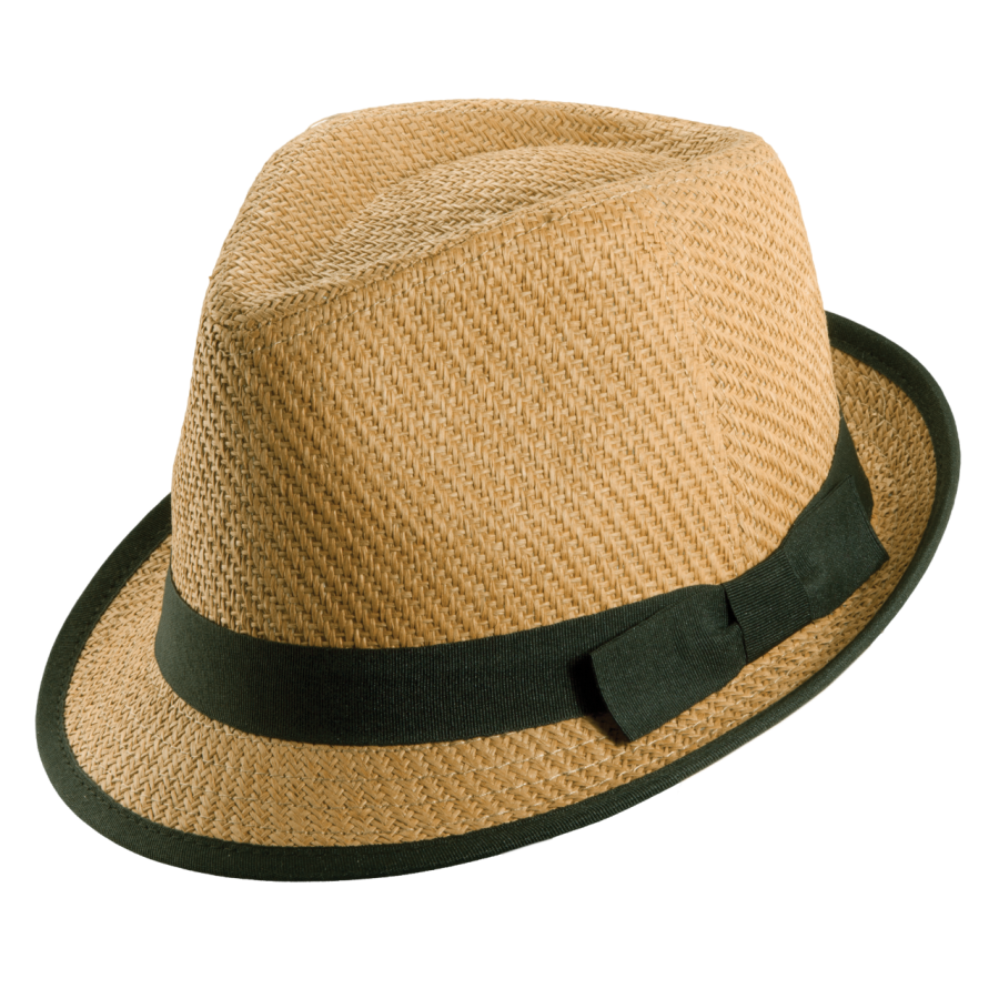 Dámský klobouk Tropical Trends Fedora béžový Tropical Trends Z34LS172-brn